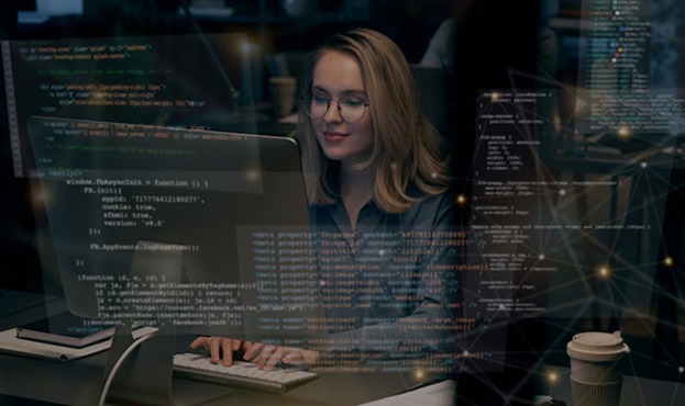 software development