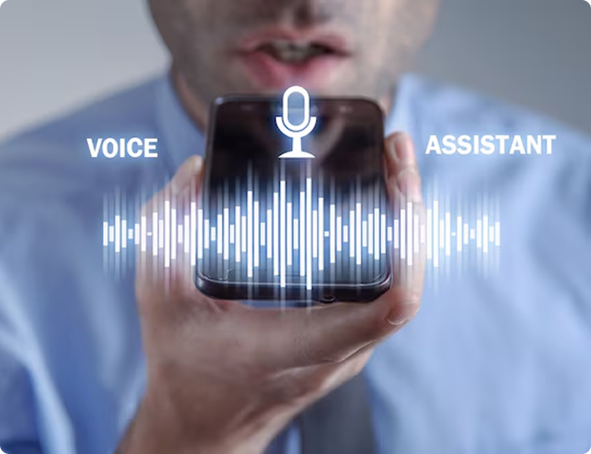 Voice Search Optimization