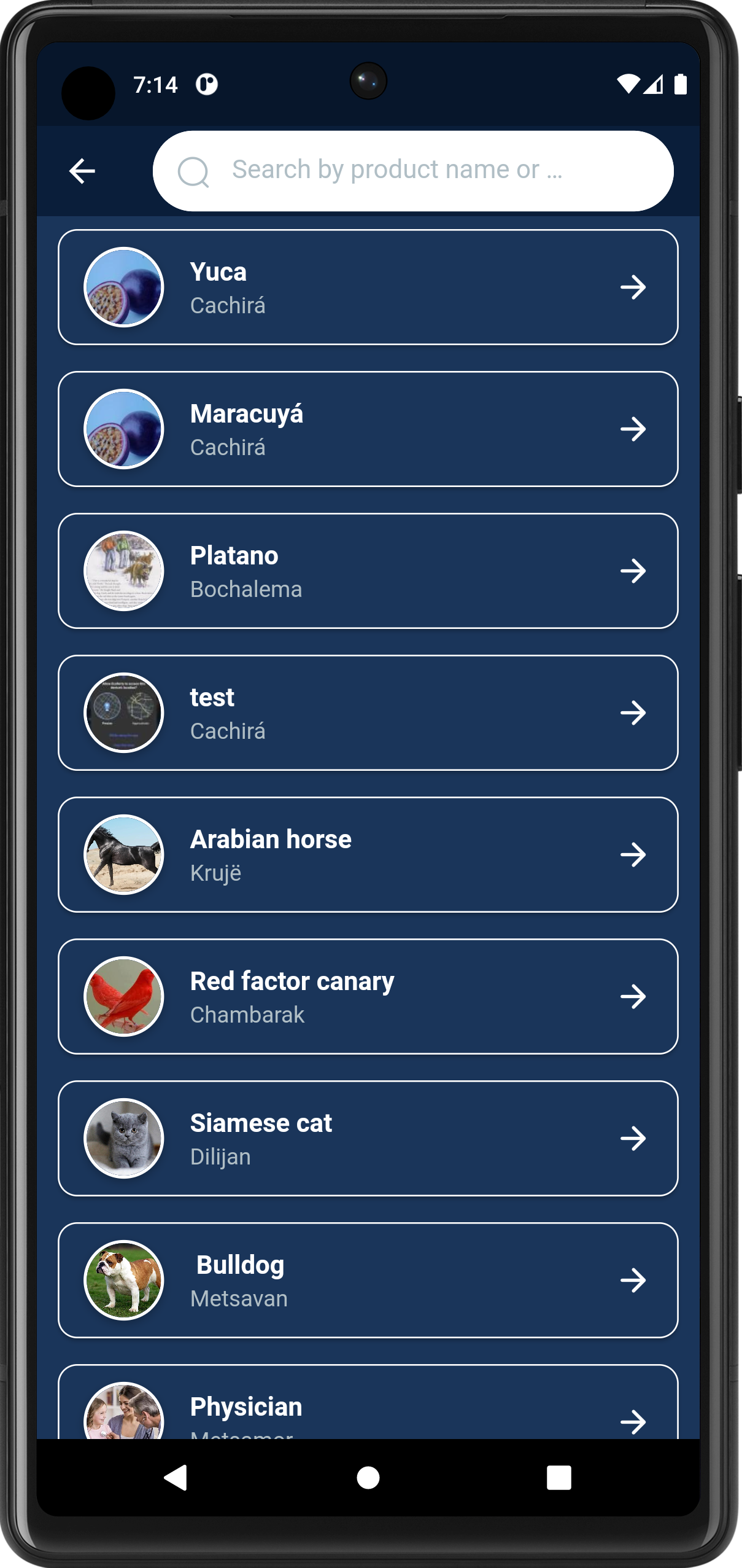 Industry Overview